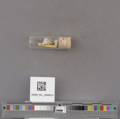 NSF ADBC EPICC TCN