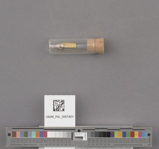 NSF ADBC EPICC TCN
