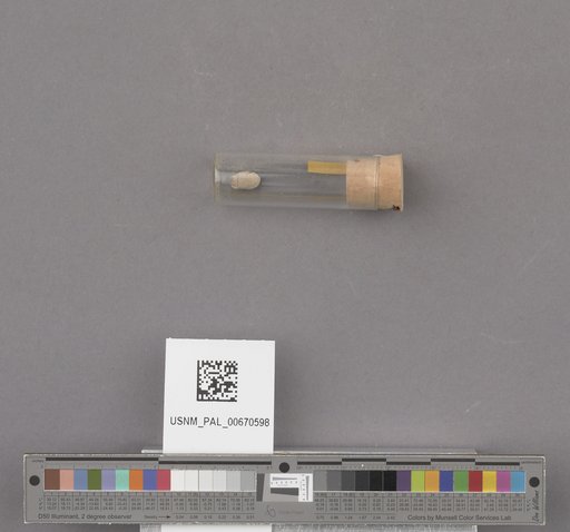 NSF ADBC EPICC TCN