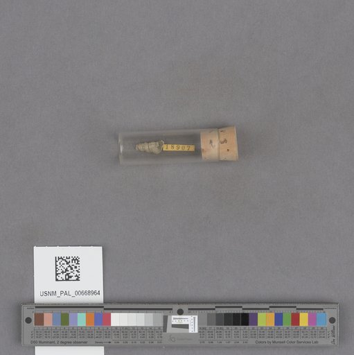 NSF ADBC EPICC TCN