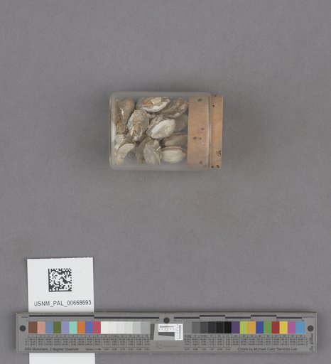 NSF ADBC EPICC TCN