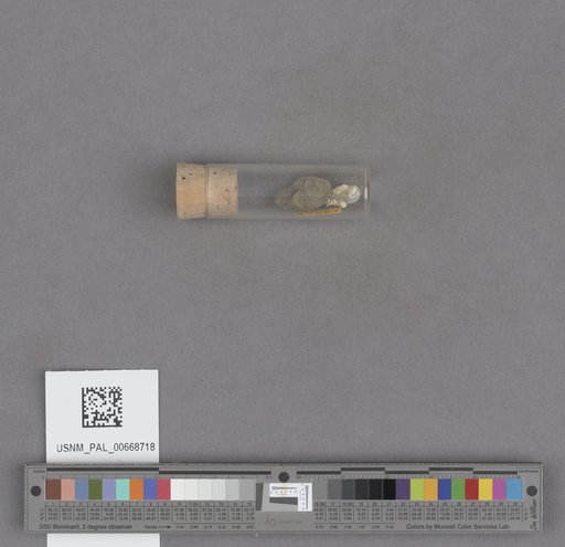 NSF ADBC EPICC TCN