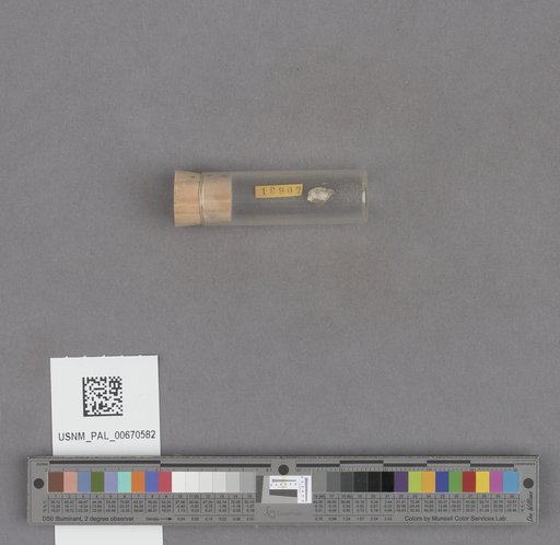 NSF ADBC EPICC TCN