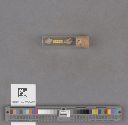 NSF ADBC EPICC TCN
