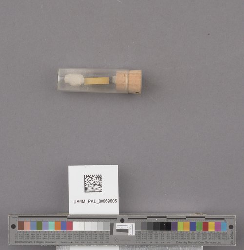 NSF ADBC EPICC TCN