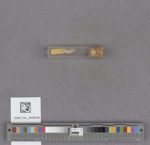 NSF ADBC EPICC TCN