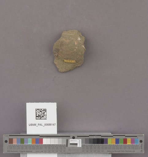 NSF ADBC EPICC TCN