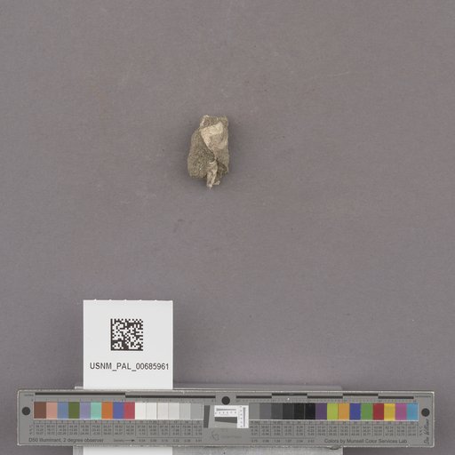 NSF ADBC EPICC TCN