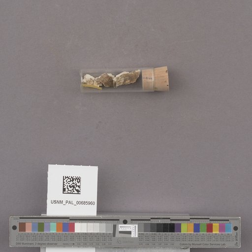 NSF ADBC EPICC TCN