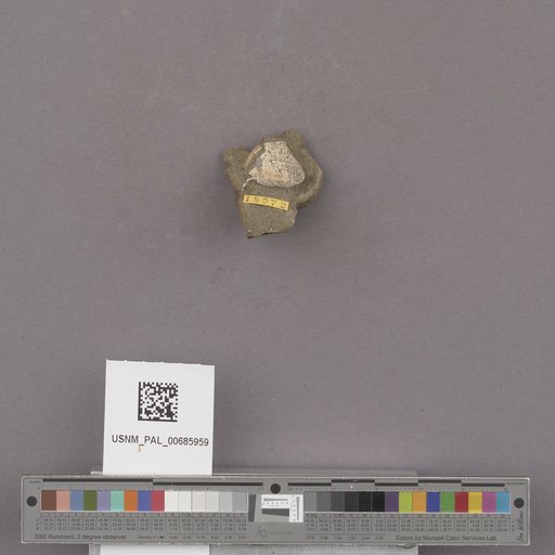 NSF ADBC EPICC TCN