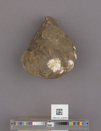 NSF ADBC EPICC TCN