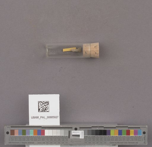 NSF ADBC EPICC TCN