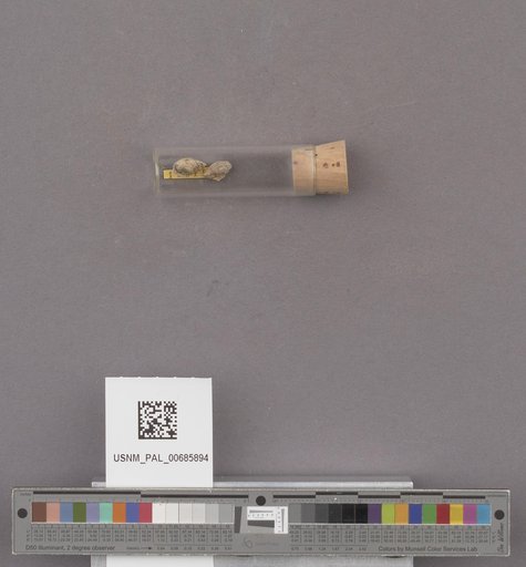 NSF ADBC EPICC TCN