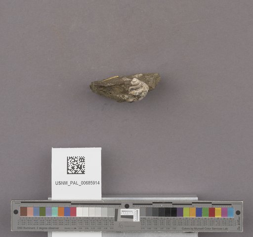 NSF ADBC EPICC TCN