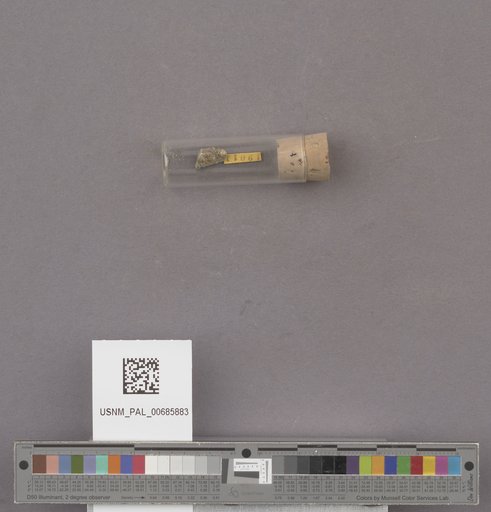 NSF ADBC EPICC TCN
