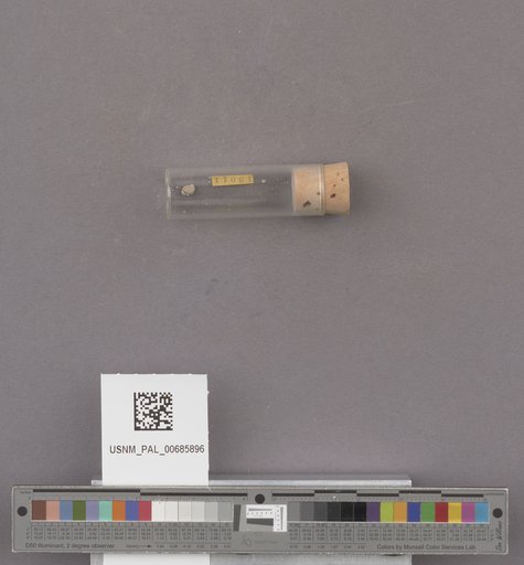 NSF ADBC EPICC TCN