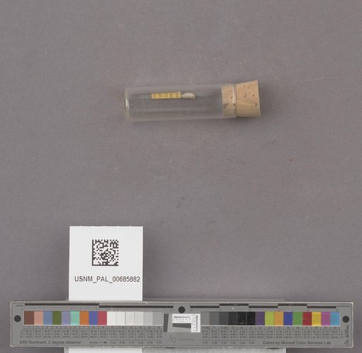 NSF ADBC EPICC TCN
