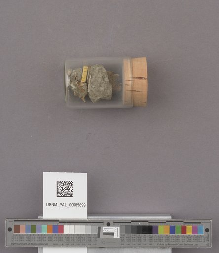 NSF ADBC EPICC TCN