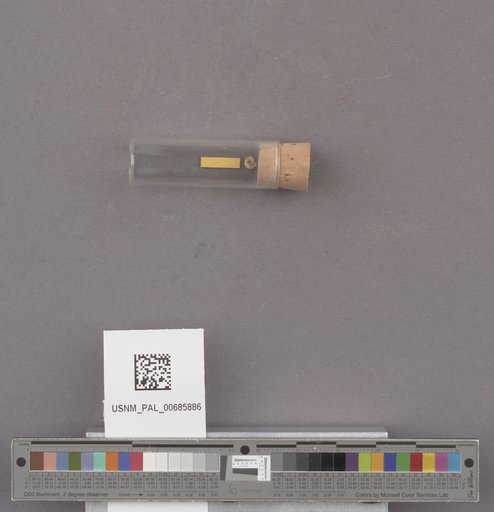 NSF ADBC EPICC TCN