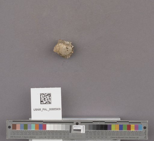 NSF ADBC EPICC TCN