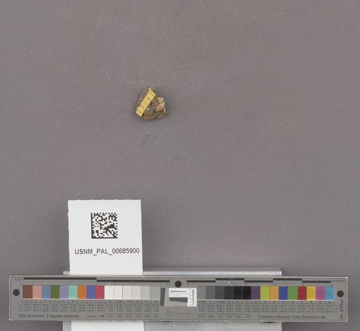 NSF ADBC EPICC TCN