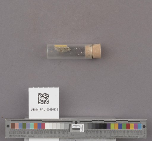 NSF ADBC EPICC TCN