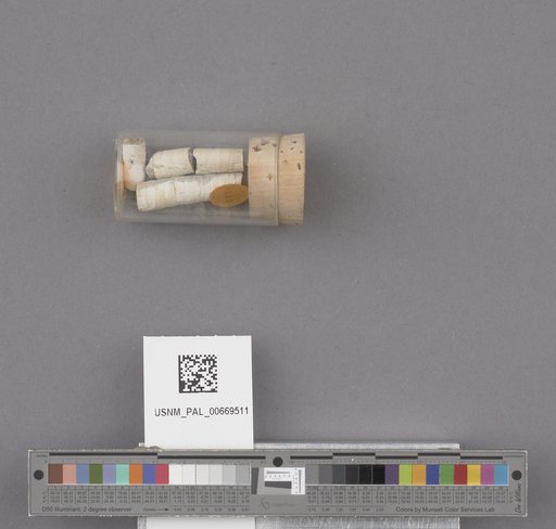 NSF ADBC EPICC TCN