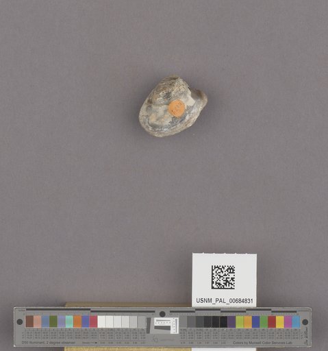 NSF ADBC EPICC TCN