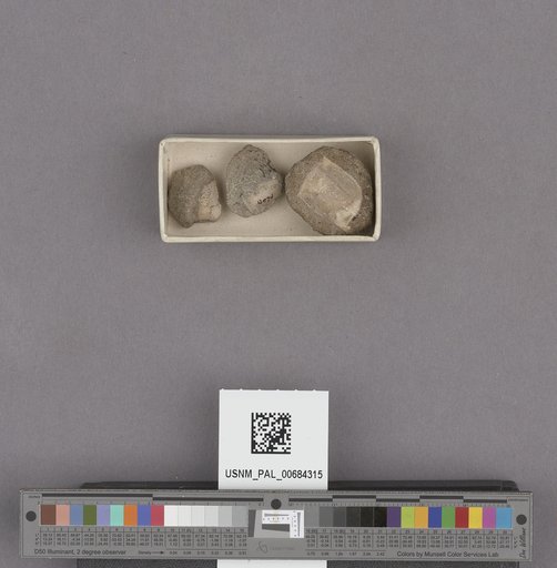 NSF ADBC EPICC TCN