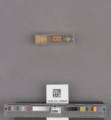 NSF ADBC EPICC TCN
