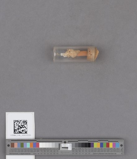 NSF ADBC EPICC TCN