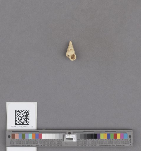 NSF ADBC EPICC TCN