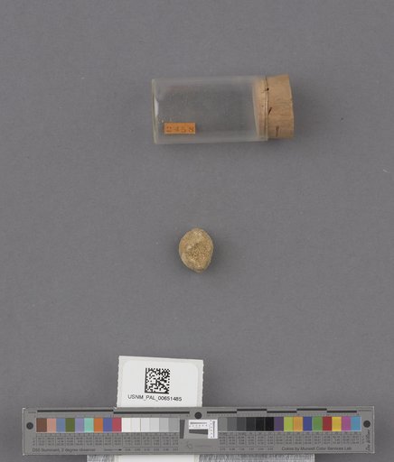 NSF ADBC EPICC TCN