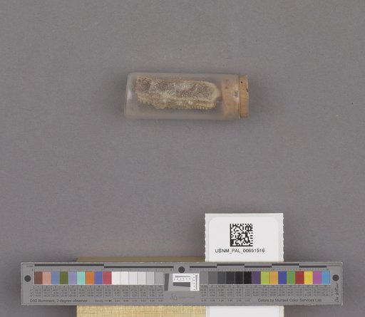 NSF ADBC EPICC TCN