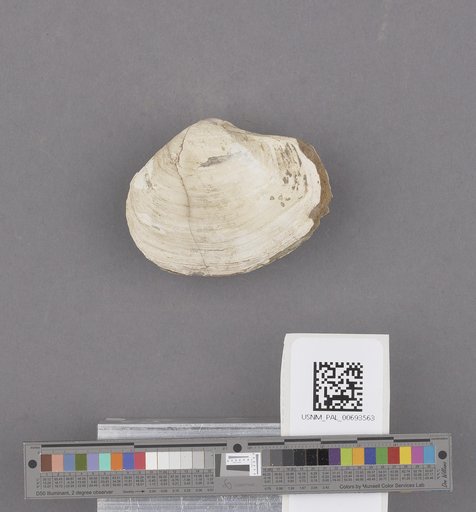 NSF ADBC EPICC TCN