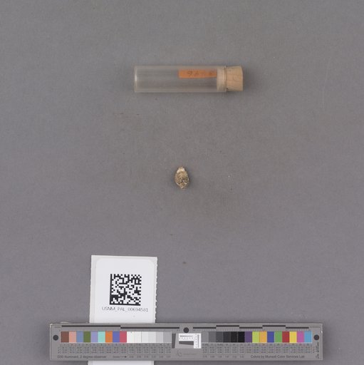 NSF ADBC EPICC TCN