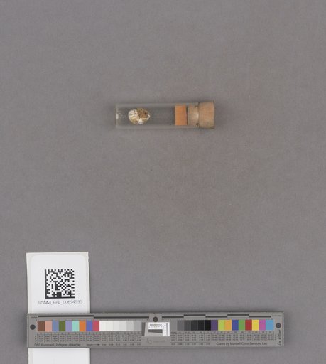 NSF ADBC EPICC TCN