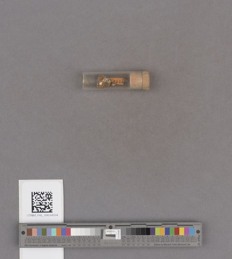 NSF ADBC EPICC TCN