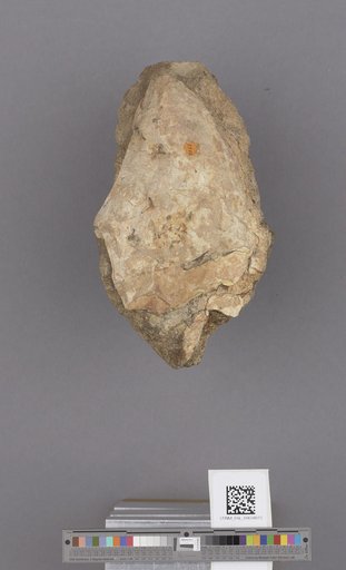 NSF ADBC EPICC TCN