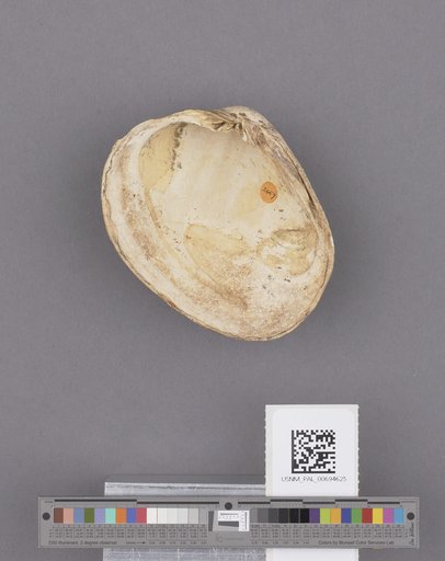 NSF ADBC EPICC TCN