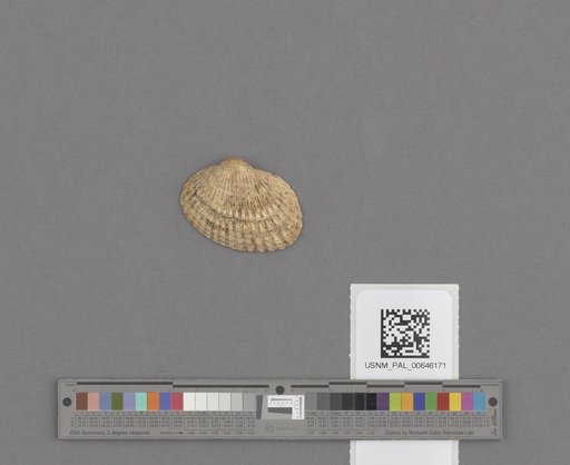 NSF ADBC EPICC TCN
