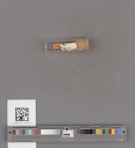 NSF ADBC EPICC TCN