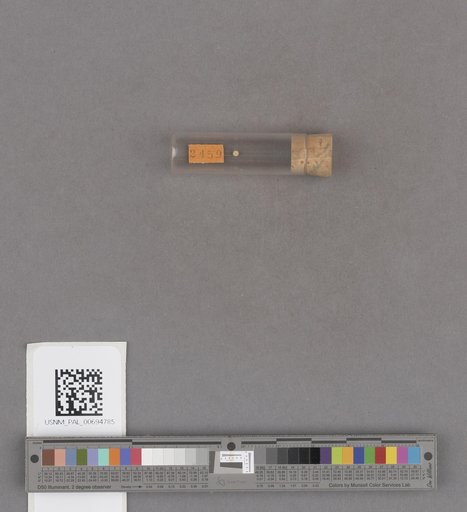 NSF ADBC EPICC TCN