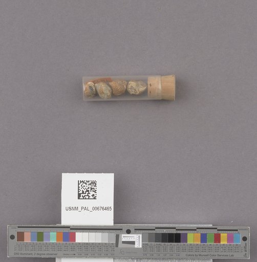 NSF ADBC EPICC TCN