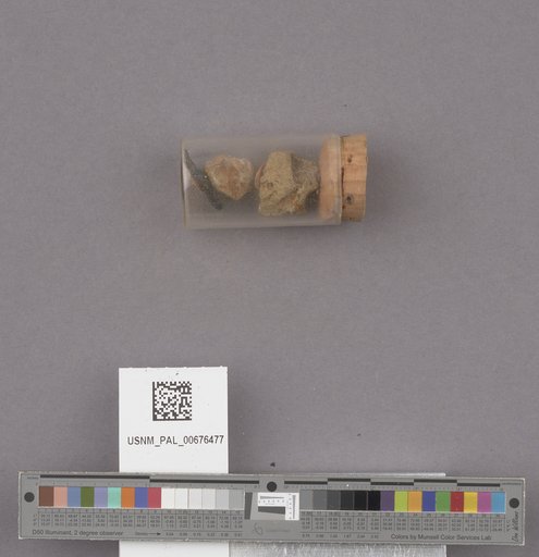NSF ADBC EPICC TCN