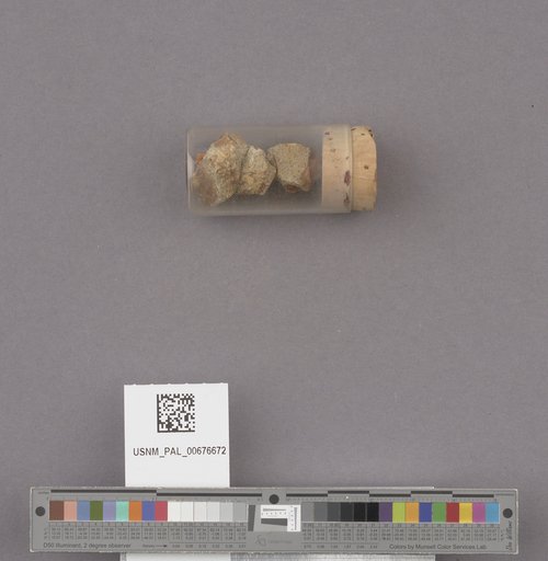 NSF ADBC EPICC TCN