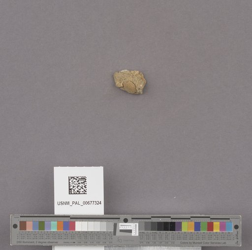 NSF ADBC EPICC TCN