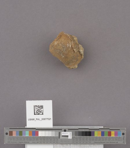 NSF ADBC EPICC TCN