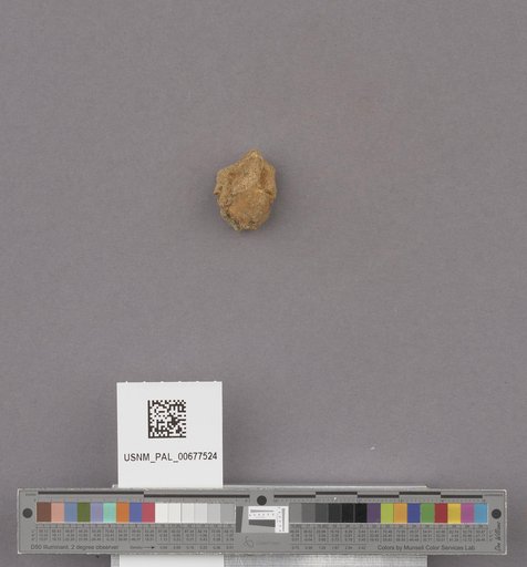NSF ADBC EPICC TCN
