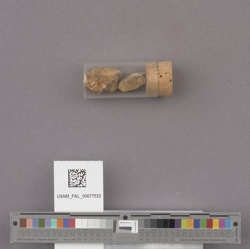 NSF ADBC EPICC TCN
